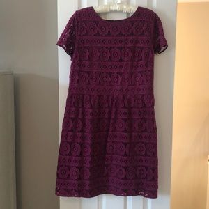 Loft size 14 maroon lace dress